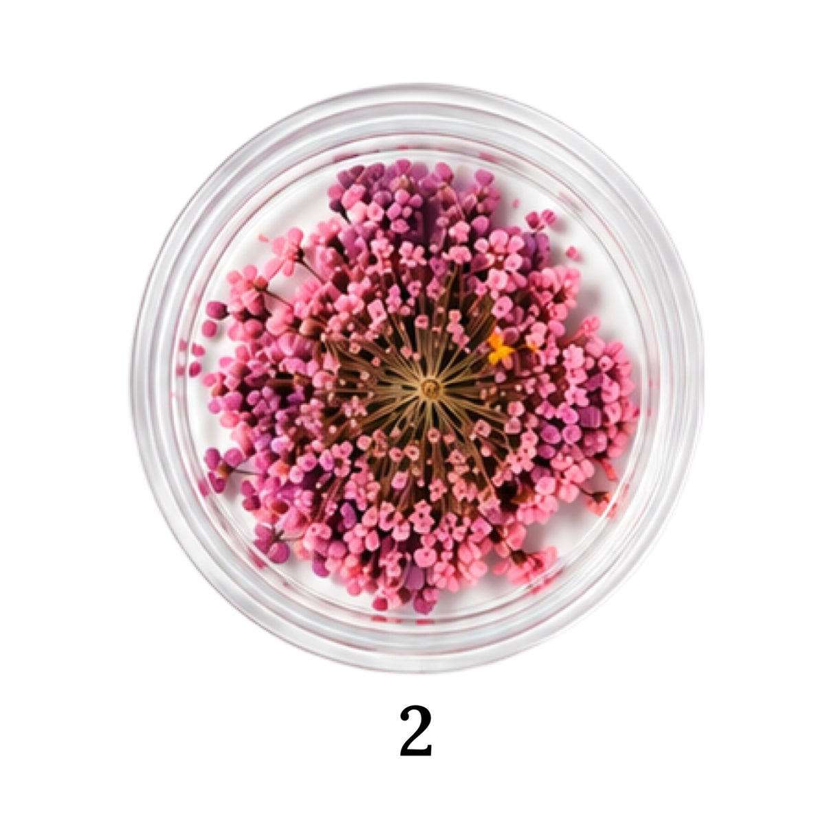 Flower 2