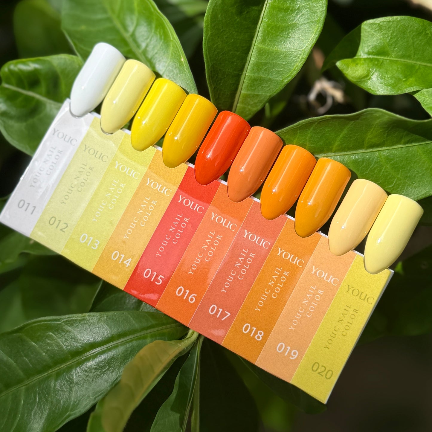 Youc Korean Colors 11-20