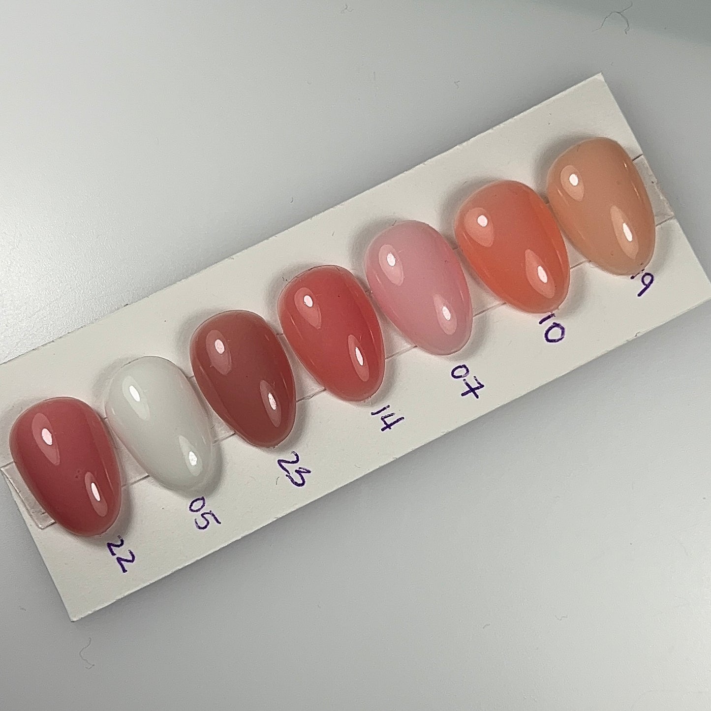 Hard Gel Tarro 19
