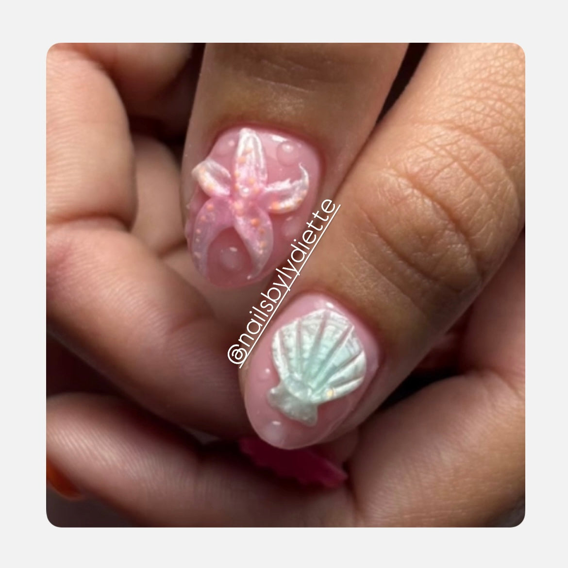 Carving Solid 3D (Satín)