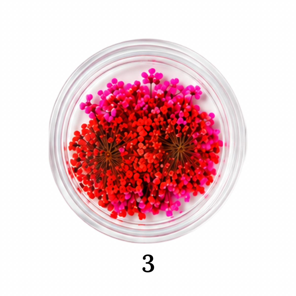 Flower 3