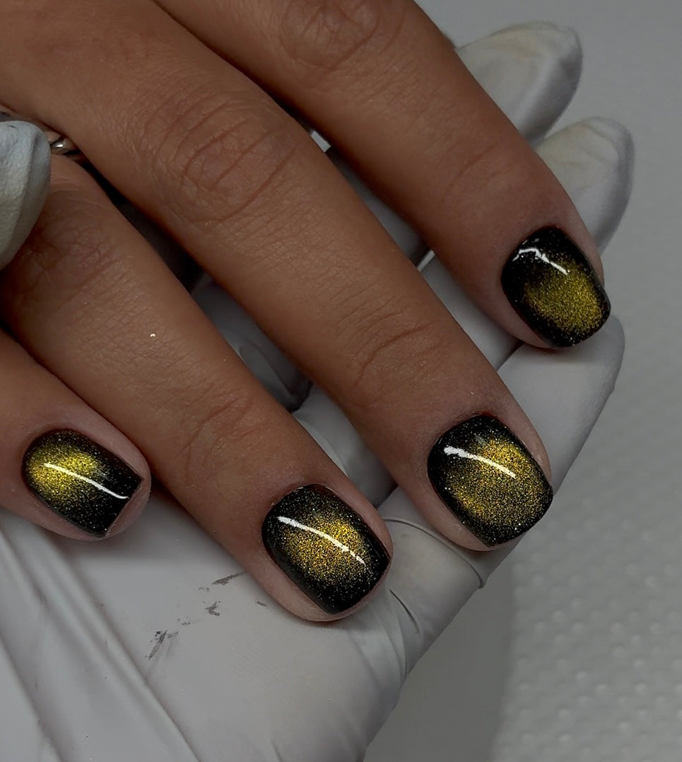 Reflective Cat Eye #10