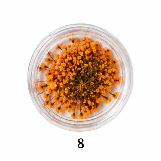 Flower 8