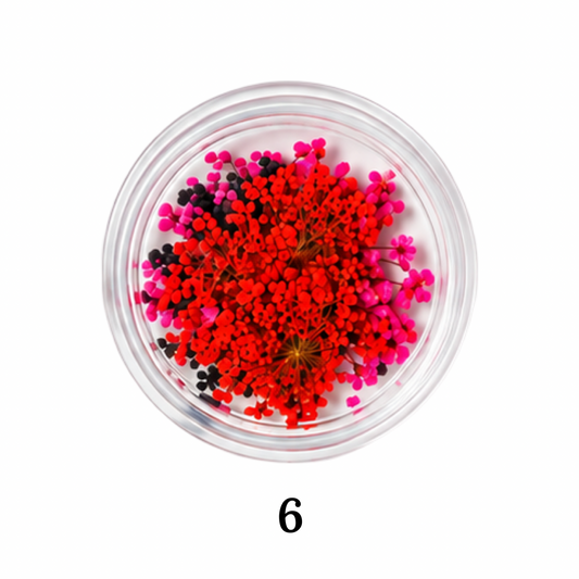 Flower 6