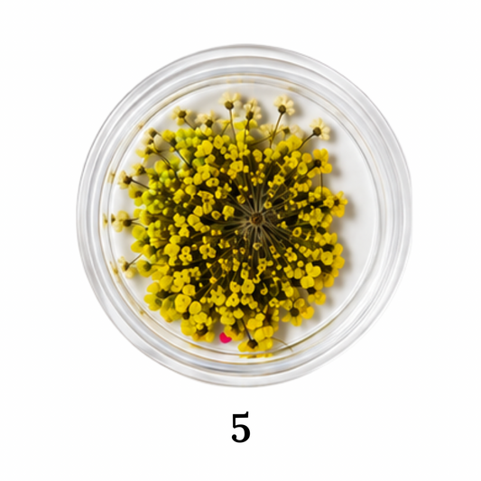 Flower 5