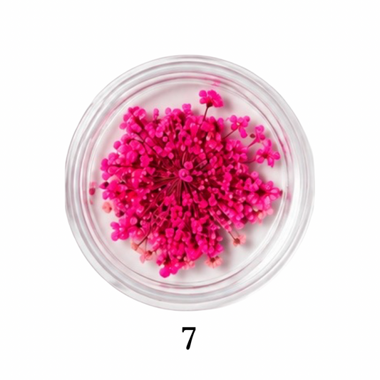 Flower 7