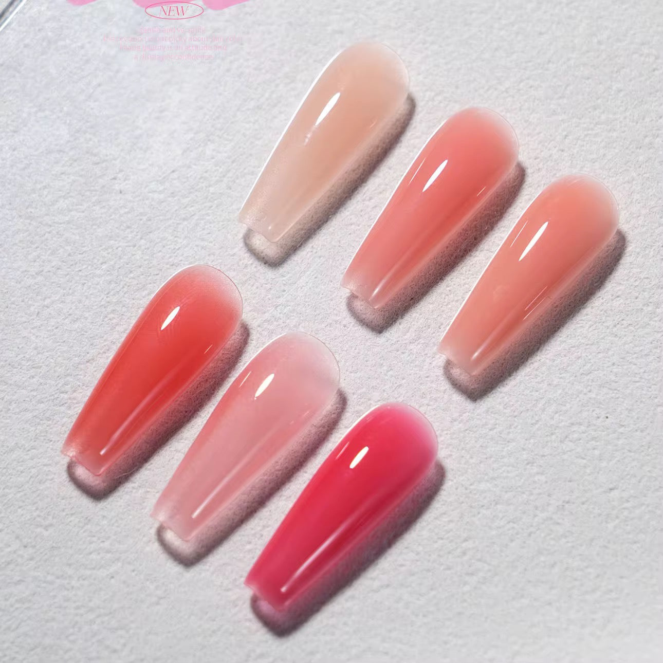 Nude Ladai Collection 6pc